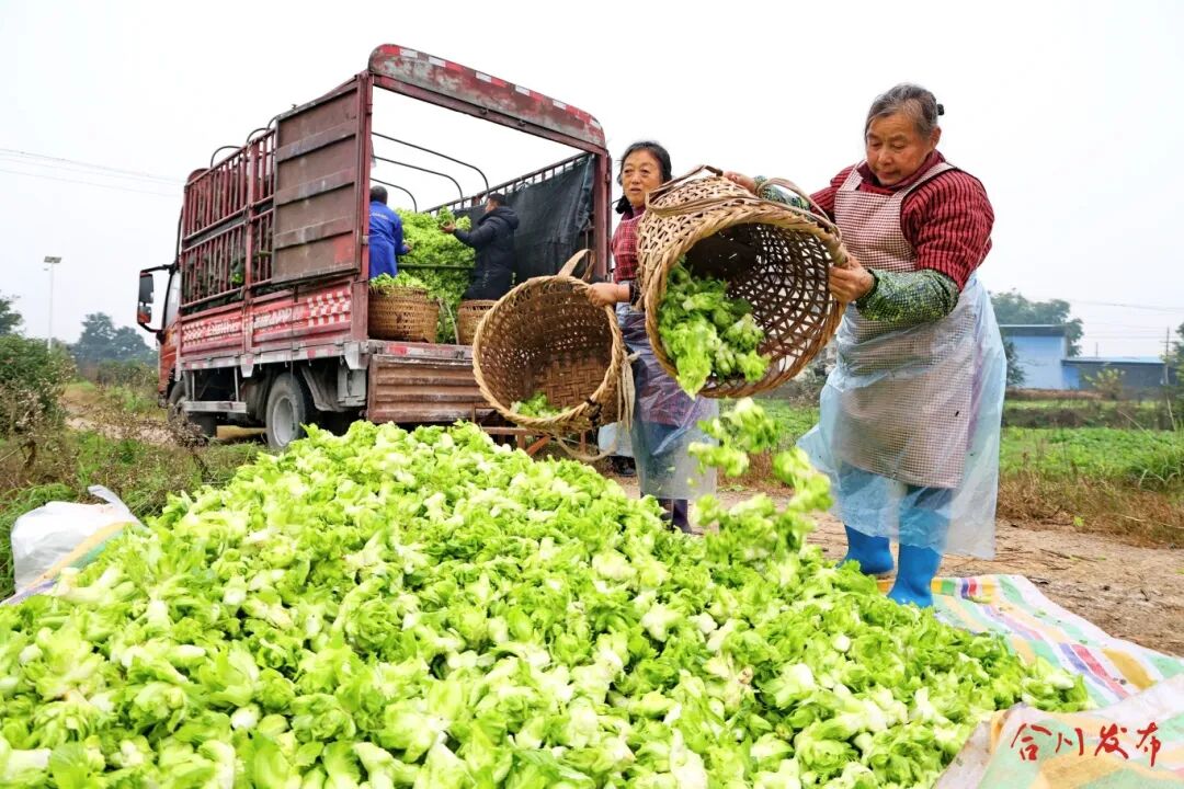 GetAttachment (4).jpg