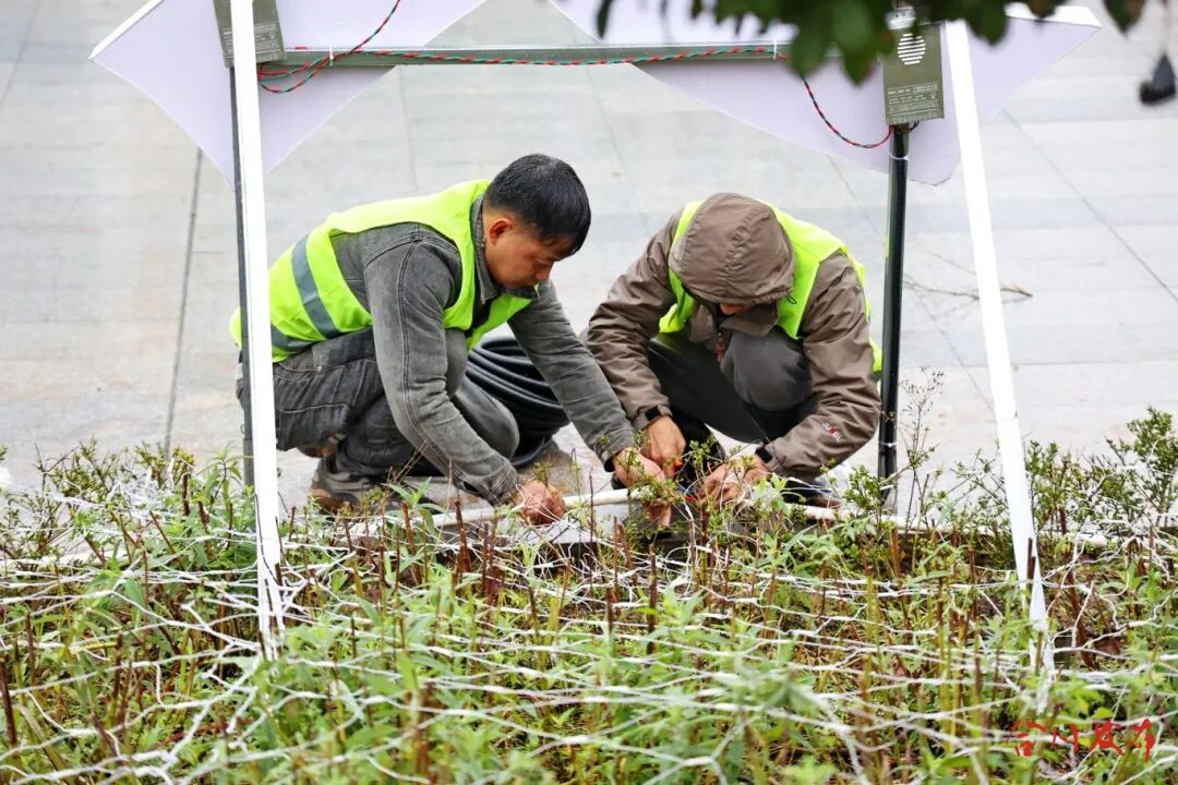 GetAttachment (4).jpg