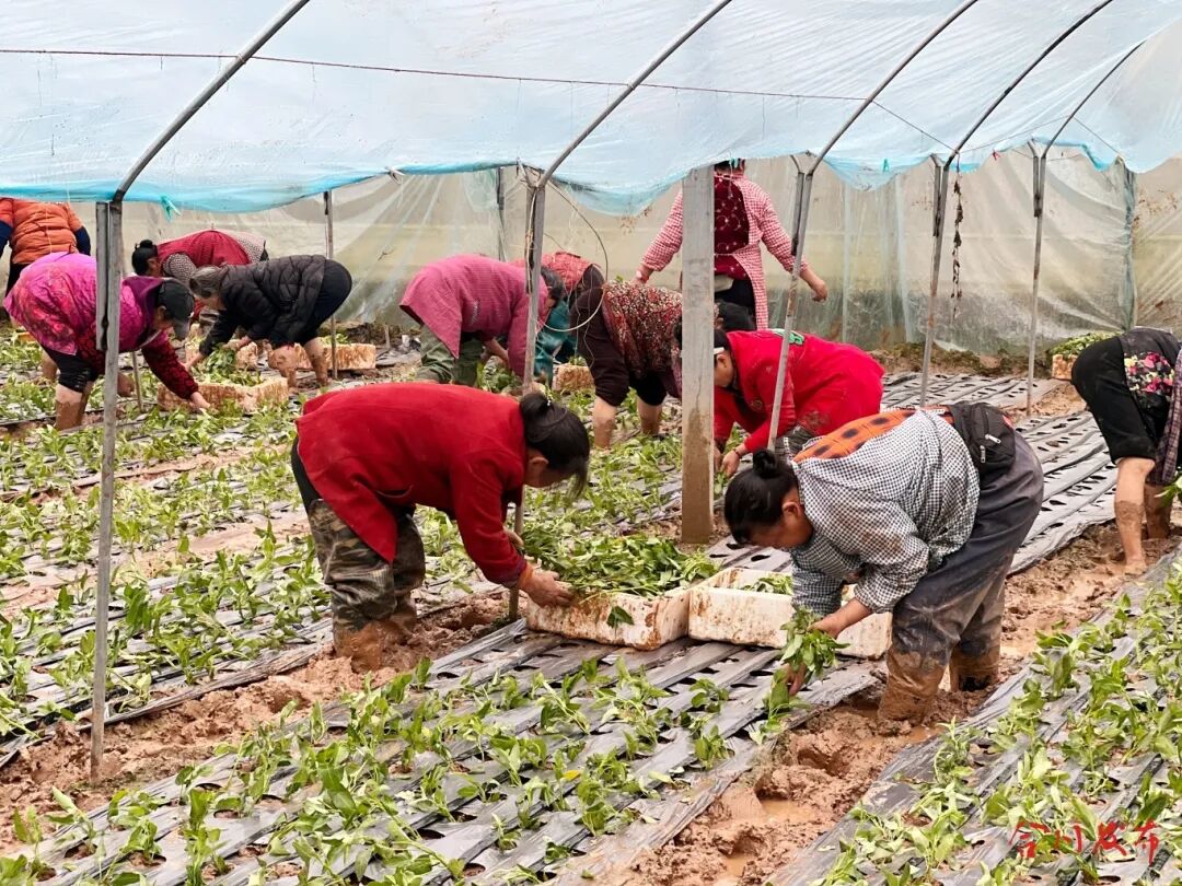 GetAttachment (1)_副本.jpg