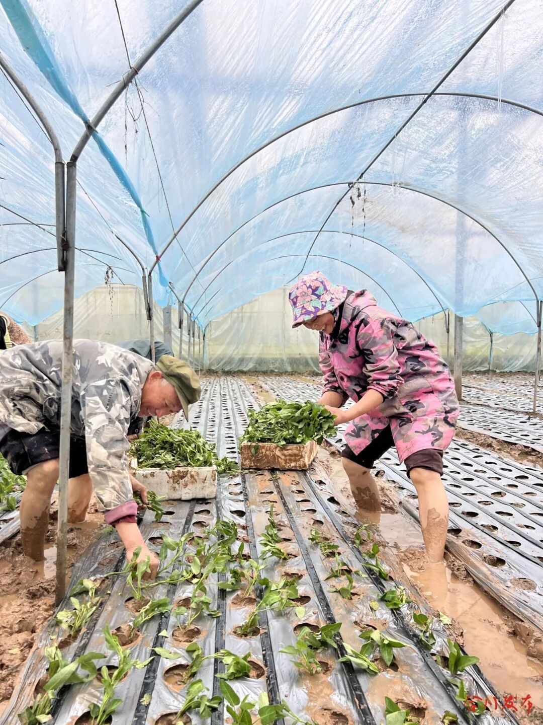 GetAttachment (20).jpg