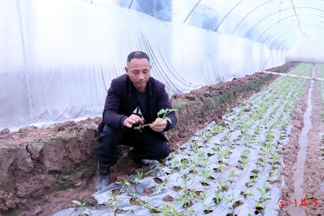 GetAttachment (2)_副本.jpg