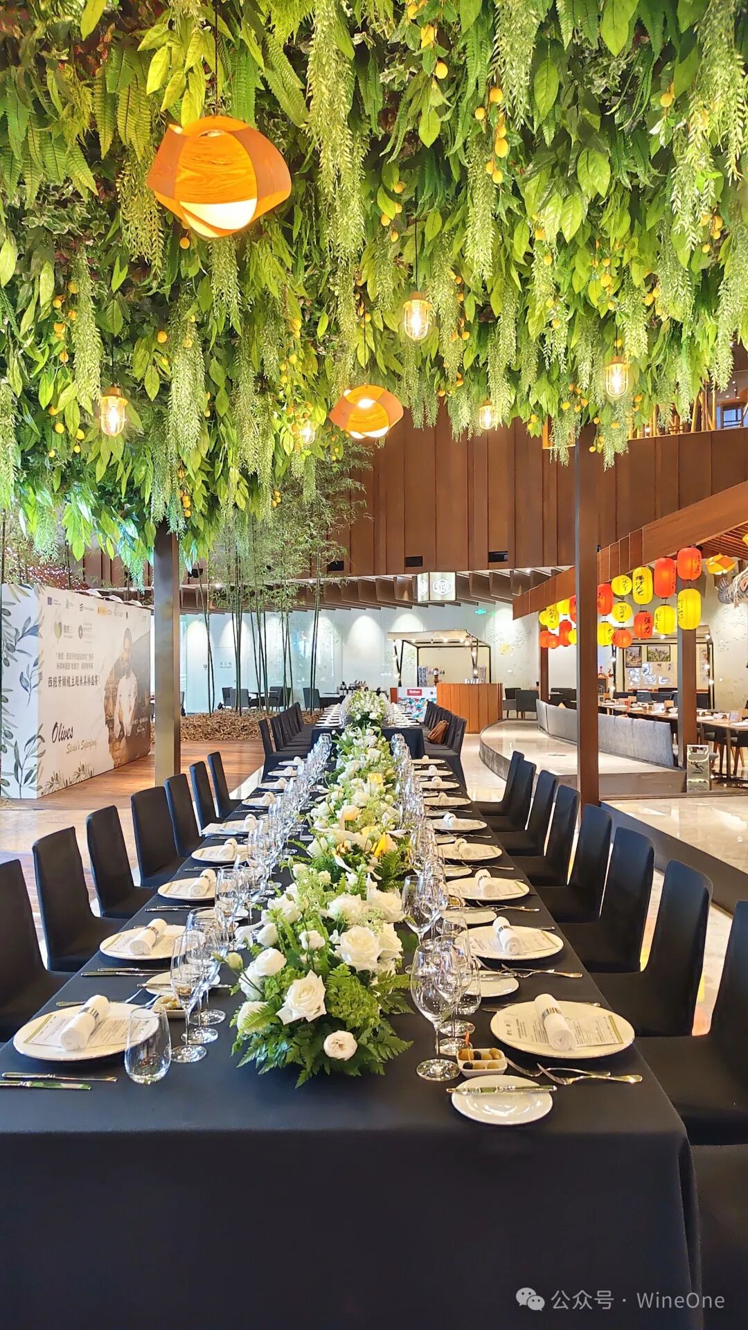 橄榄·西班牙的超级食物米其林星厨晚宴第1张-葡萄酒香网