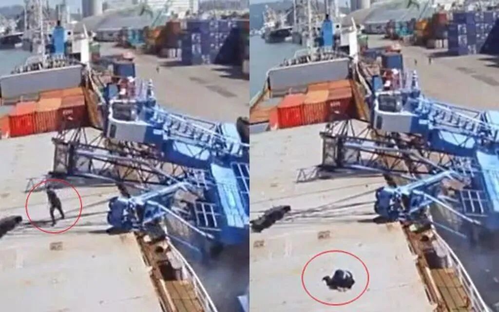 微信图片_2025-08-22_152654_481