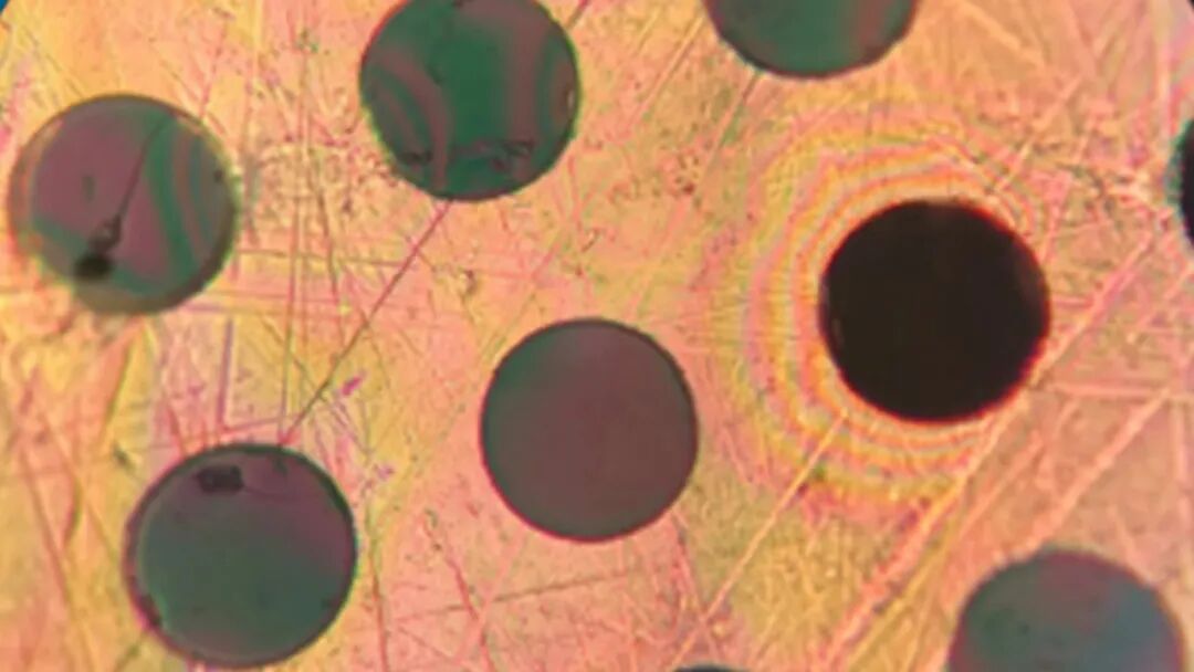 麻省理工学院发明了一种比钢还坚固的新型塑料的图1