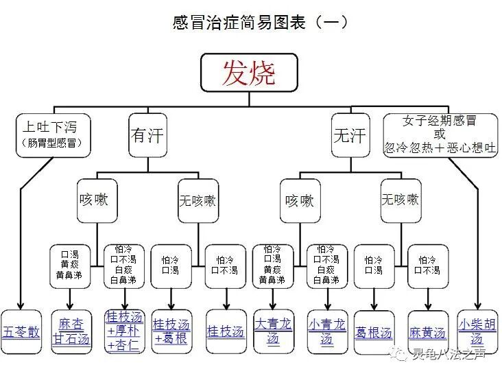 感冒中药方治疗图谱（收藏+转发）