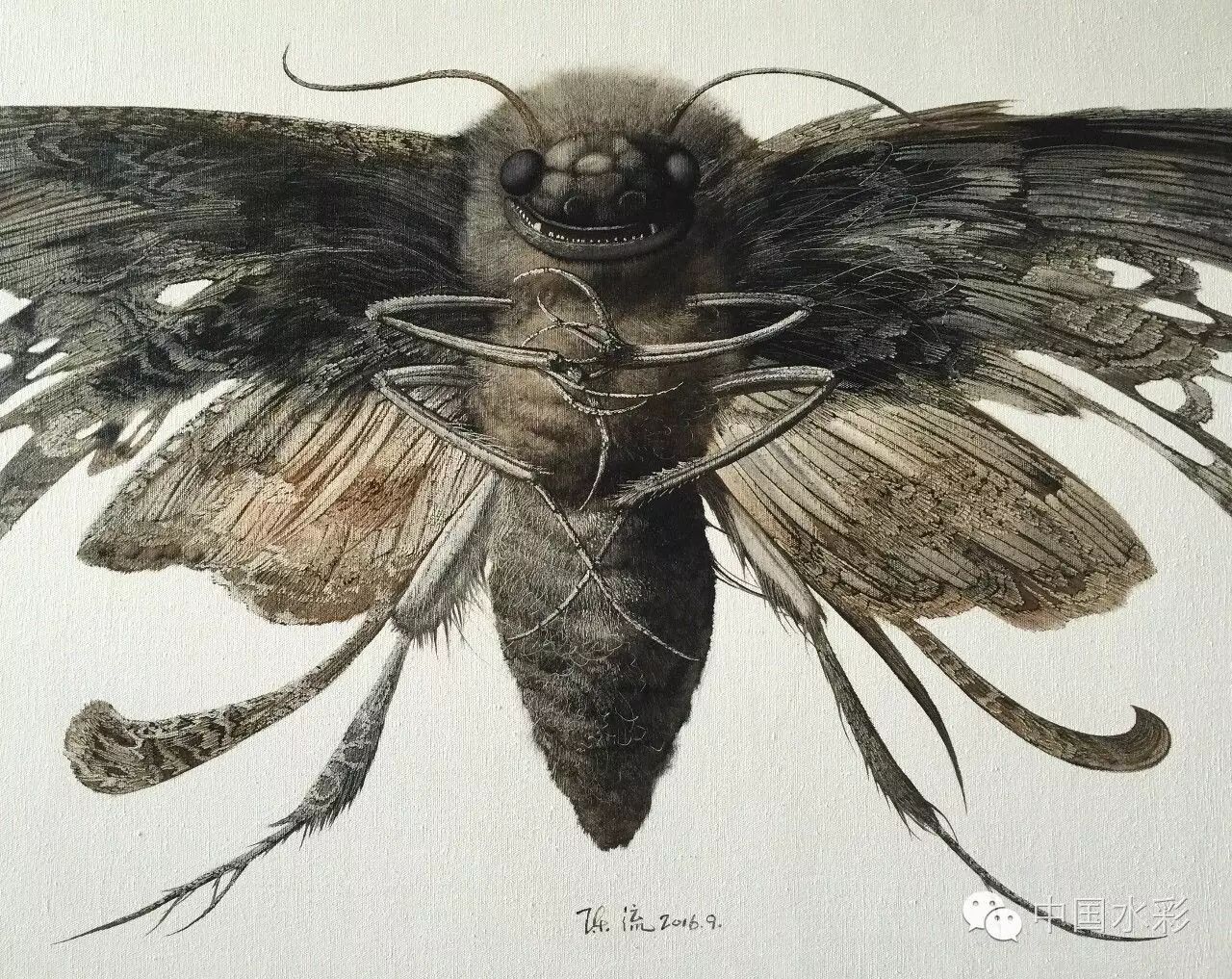 陈流一种真实的虚构一种超现实的美感