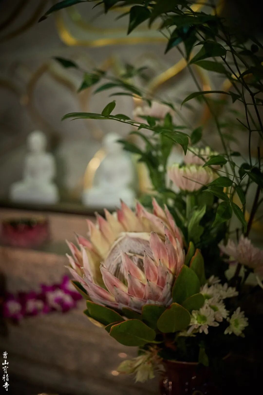 曹山宝积寺千僧万众祛疫祈福法会圆满