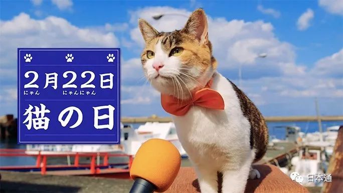 天皇为爱猫请保姆 日本人 猫奴 史要从祖宗说起 日本通微信公众号文章