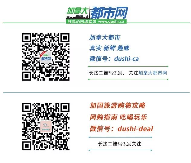 士嘉堡六間分租屋業主被罰8萬加元！ 房東千萬別做這件事 家居 第11張