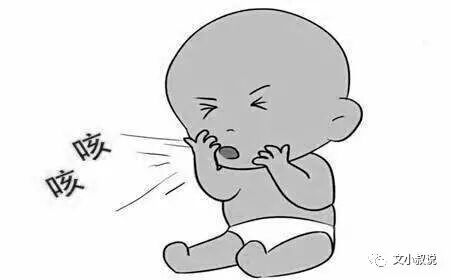 "我妈说咳嗽就吃川贝母炖梨.""坑爹!