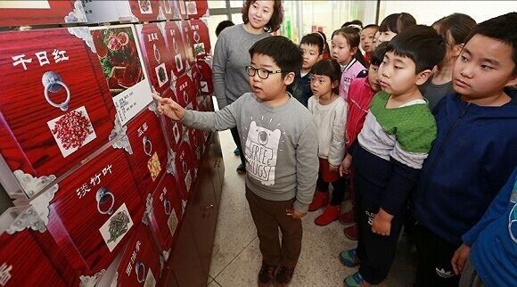 重磅炸彈：小學五年級開始學中醫！ 健康 第10張