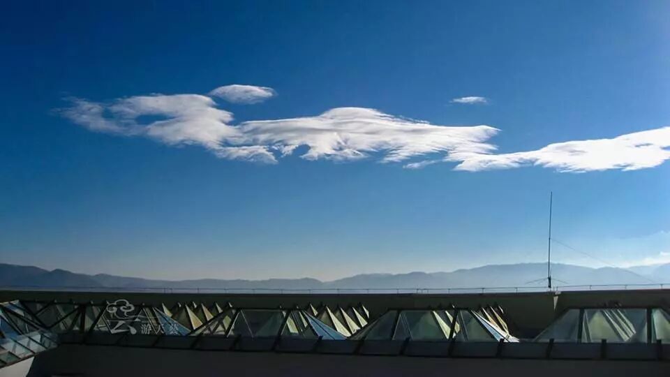 中药方才能安全健康瘦身通肠益瘦茶