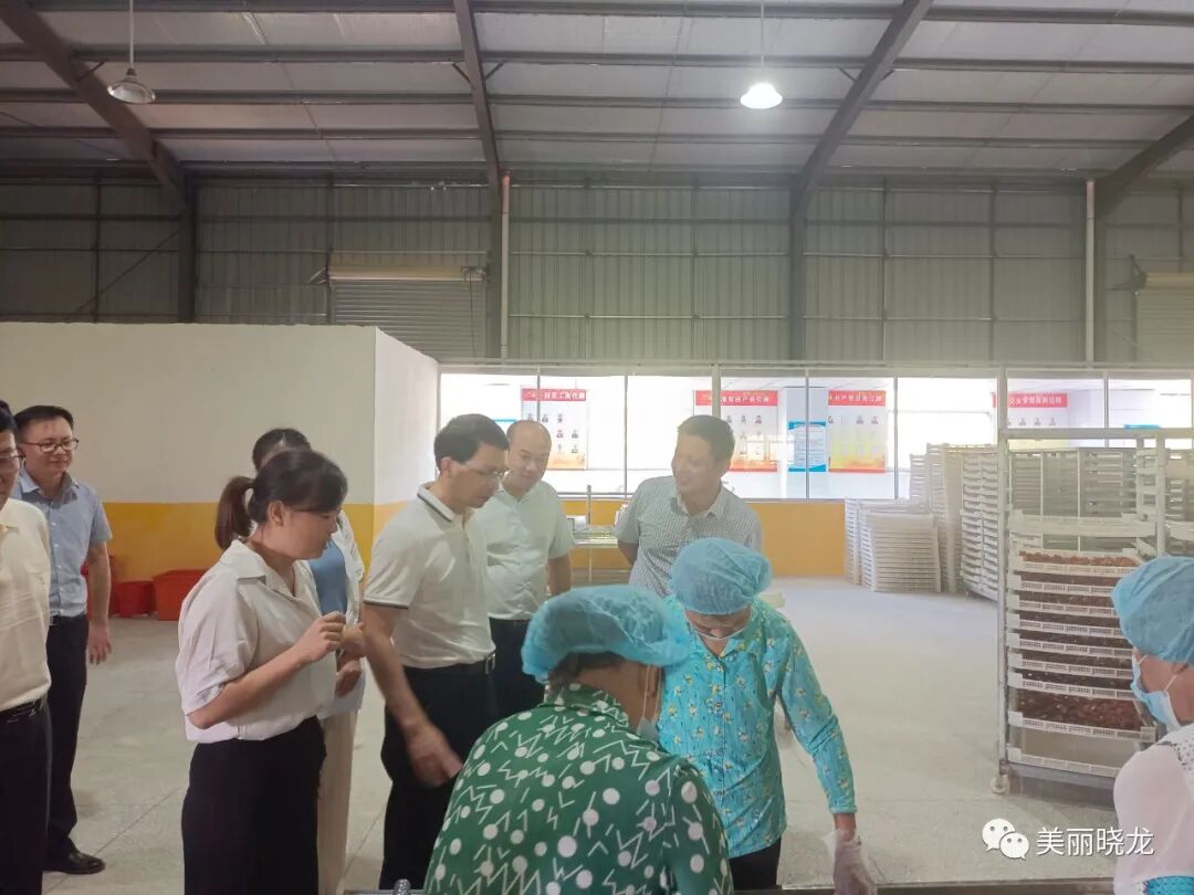 县委书记潘金城县纪委书记徐丽清先后来我乡调研