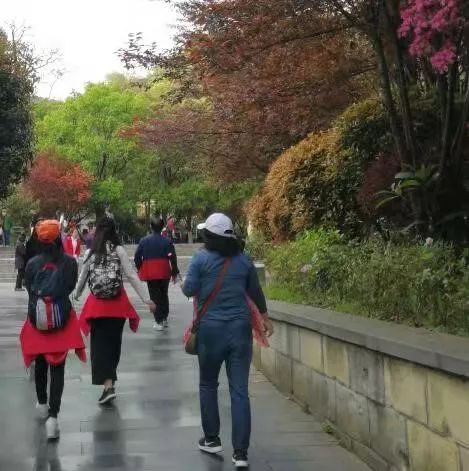 寒露過氣溫降，養生調理宜溫暖潤燥，強身健體 健康 第5張