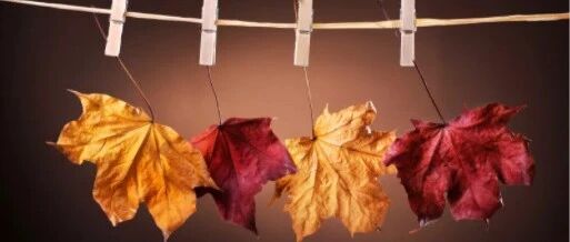 今日养生方 | 呼吸道、肠道、皮肤三重“燥”？入秋当令食材清暑防燥