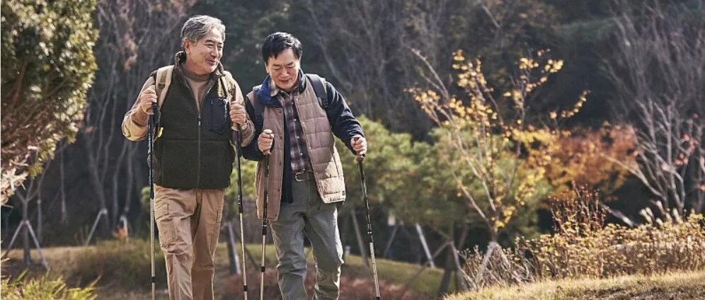 今日养生方 | 强筋骨，乌白发！今天试这个汤！