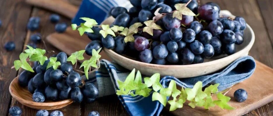 秋季养生“养收”，润燥益气是重点，多吃莲藕、蜂蜜……这些清润甘酸的食物不可少