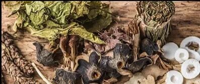 今日养生方｜护肝解毒，怎么能少了这味草？