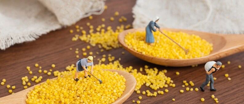 今日养生方 | 谁说进补一定要煲汤，小米粥里加点料，身子骨开春能打虎