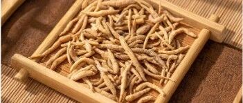 今日养生方 ▏立秋后进补，这味中药材补气还不容易上火