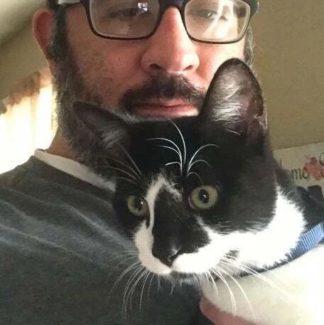 家里明明没有养猫，却一直有猫来做客，还不止一只！