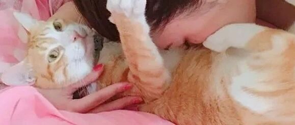 猫和宝宝抢玩具，还差点打起来，麻麻只好狠心做出这决定！