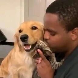 男子表示自从养了猫和狗之后，这嘴巴都没闲过！