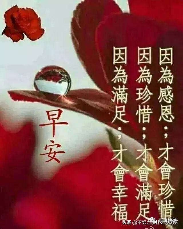 清晨早安暖心祝福语 早上好祝福早安 听说情感 微信公众号文章阅读 Wemp