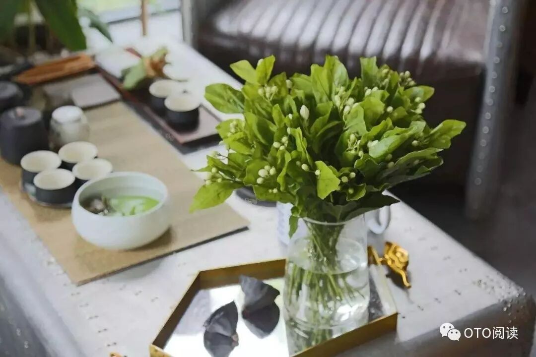 丁丽梅花向美人头上开