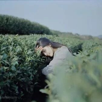 静坐常思己过，闲谈莫论人非（深度好文）