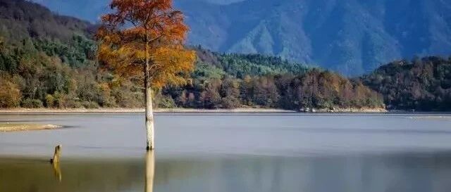 抬杠，是一种病（深度好文）