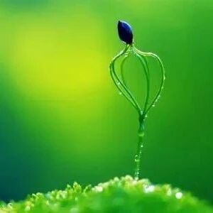 做最好的自己，才能碰见最好的别人