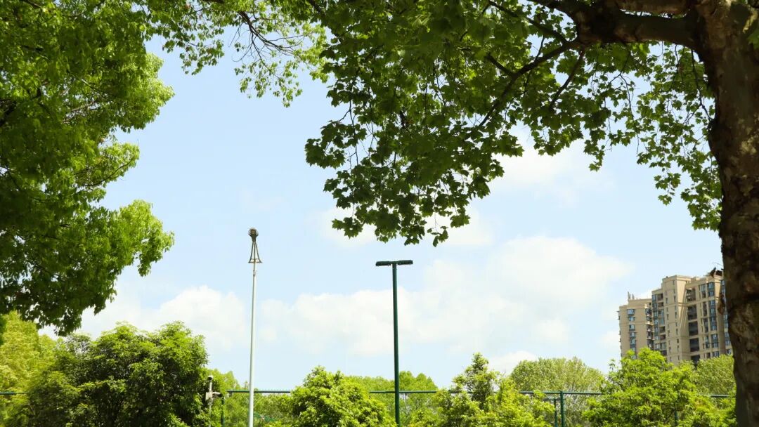 s型拉勾怎么拿听我说 ｜ 拉勾！我们下学期再见！_https://www.jmylbn.com_新闻资讯_第4张