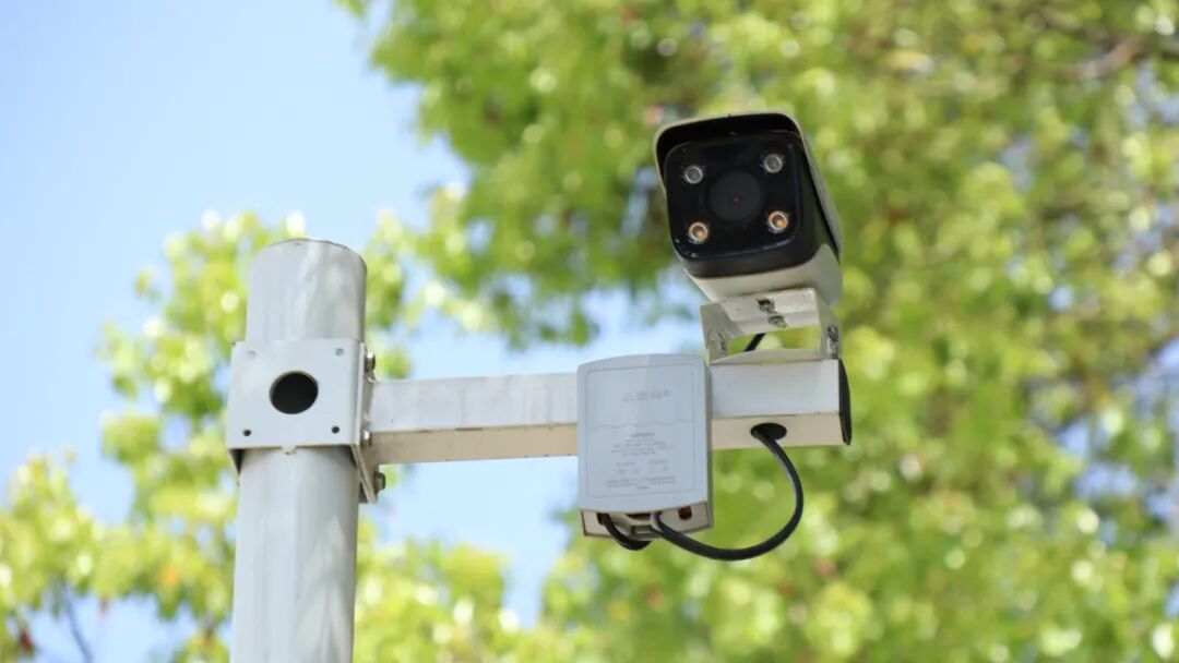 s型拉勾怎么拿听我说 ｜ 拉勾！我们下学期再见！_https://www.jmylbn.com_新闻资讯_第3张