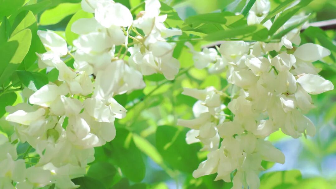 s型拉勾怎么拿听我说 ｜ 拉勾！我们下学期再见！_https://www.jmylbn.com_新闻资讯_第5张