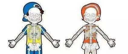 骨头强健，人健康，能长寿，吃什么能改善骨骼？吃什么损伤骨头？【新民健康】