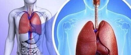 冷空气来了，警惕肺炎高发！【新民健康】