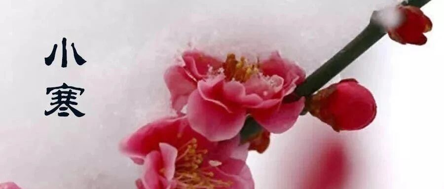 今日小寒，小寒养生要注意这5点【新民健康】