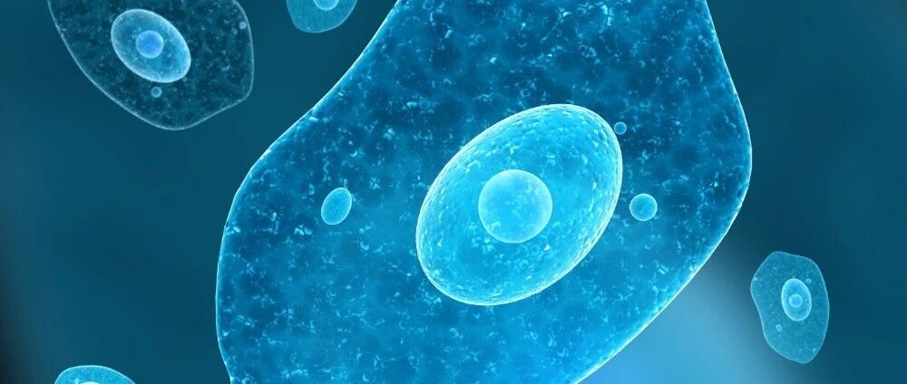 免疫细胞是人体“最好的医生”，它强你就强！七种行为会摧毁它，别不当回事！【新民健康】