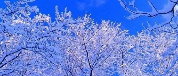 天寒地冻，中老年人务必警惕！【新民健康】