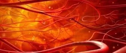 血管老不老，身体有征兆！让血管变年轻的秘诀，每一条都重要！【新民健康】