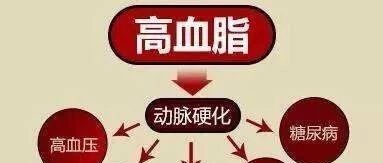 瘦人也有高血脂？体检发现脂代谢异常怎么办【新民健康】