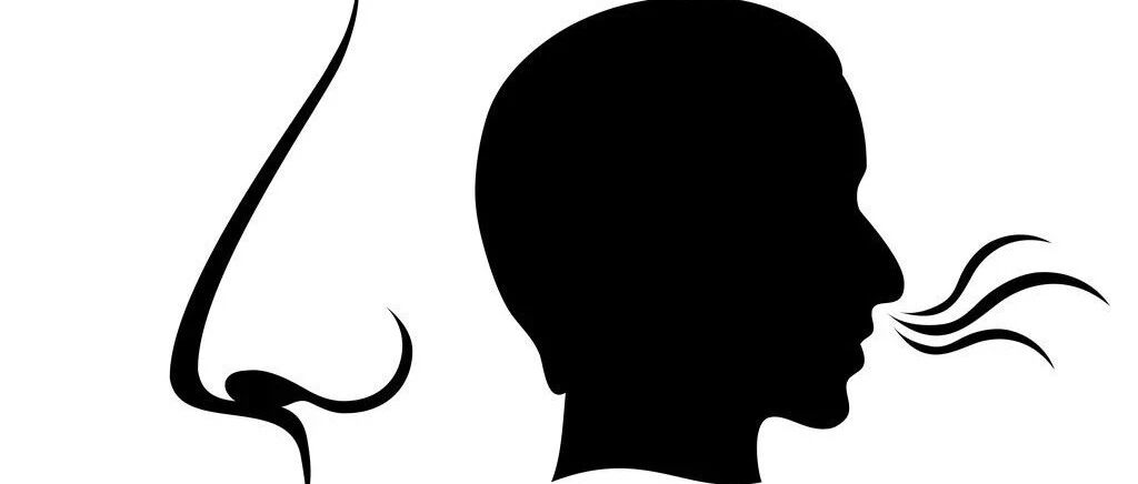 人体散发13种气味，针对不同健康隐患！看看你有哪一种？【新民健康】