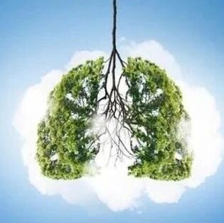 憋气时间若超不过这个数，提醒你该养肺了【新民健康】