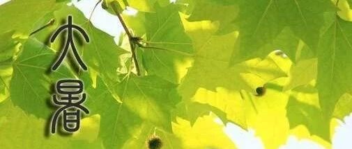 大暑驾到 这样养生健康过夏天【新民健康】