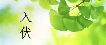 "冬病夏治"方法多 "三伏"时机别错过【新民健康】