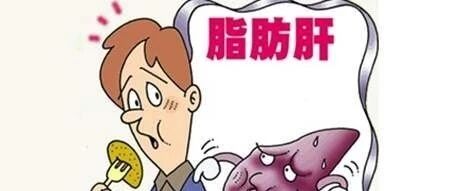 患上脂肪肝，身体2处先露出“破绽”！发现一个，也要注意保养【新民健康】