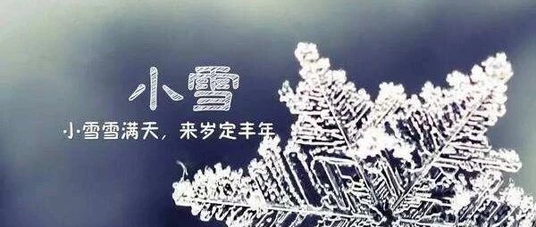 “小雪”巧养生【新民健康】