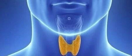 查出甲状腺结节、甲状腺癌，赶紧切了？医生建议你这样处理……[新民健康