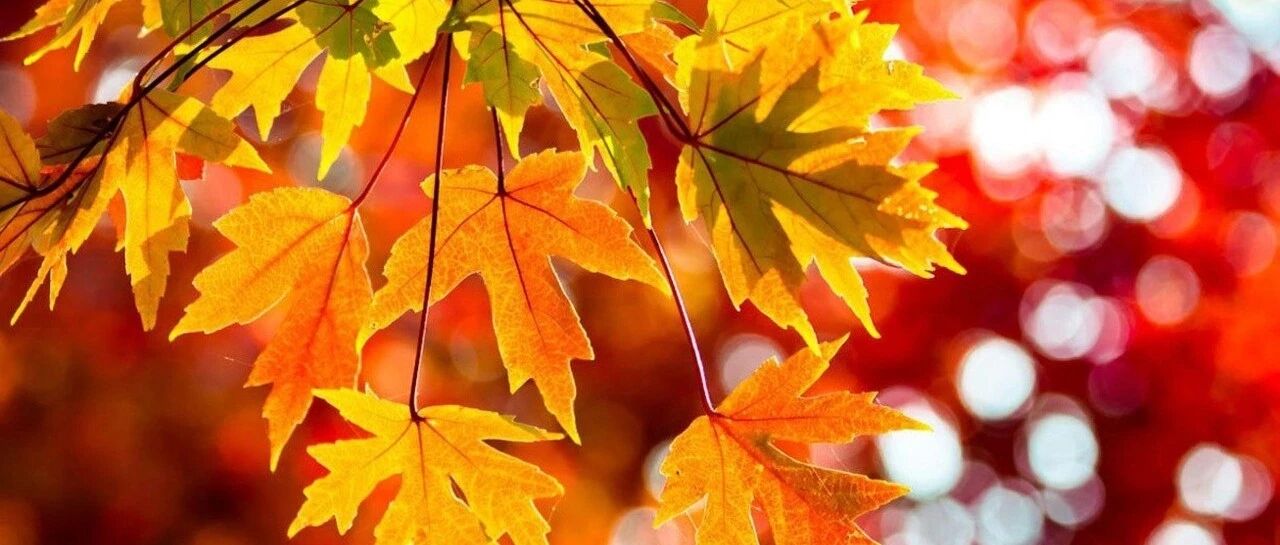 “多事之秋”要防病，谨记“3不吃” “4不做” “5相伴”！【新民健康】